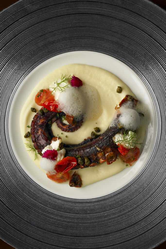 GRILLED OCTOPUS