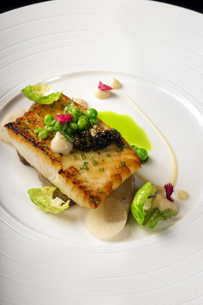 HALIBUT