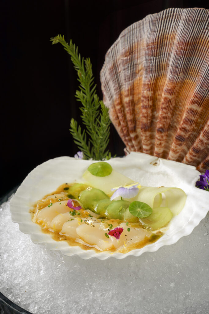 SCALLOP CARPACCIO
